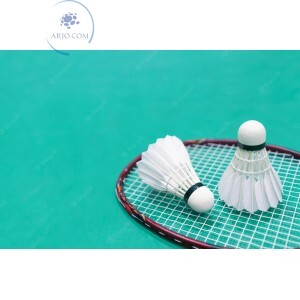 KIT DE PETECA + BOLA DE PING PONG (ID-3942P)